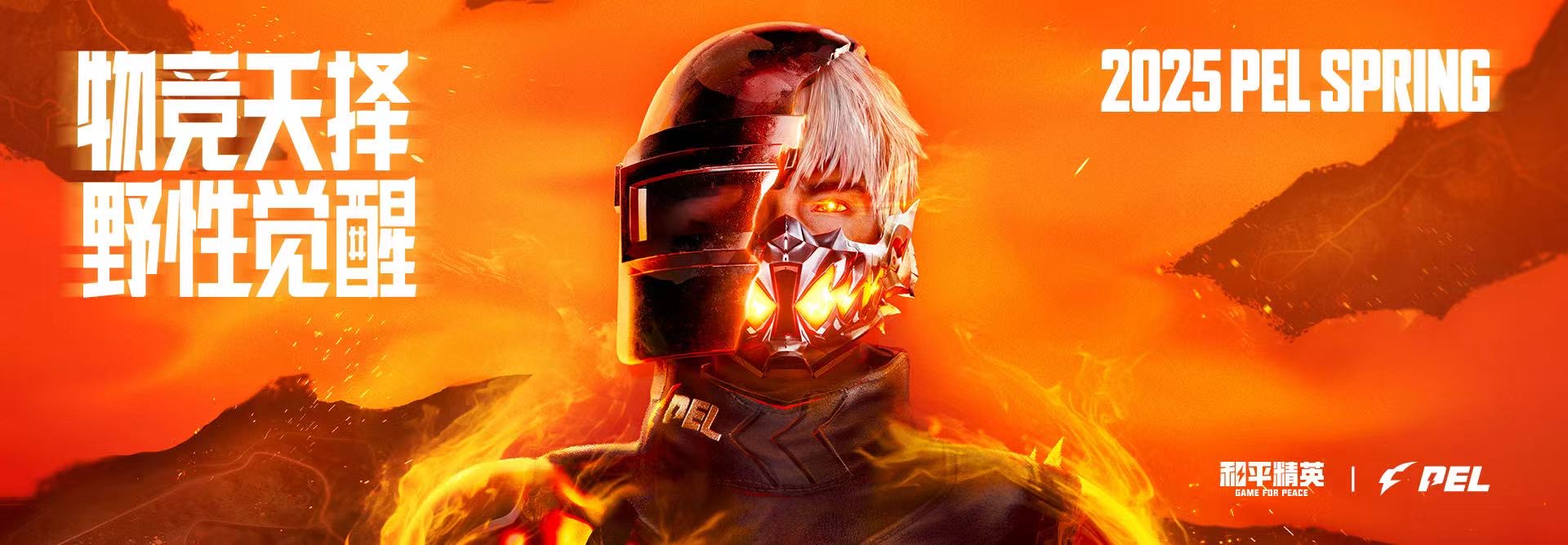 和平精英《闪电》外挂强势回归营救现在直装拉闸市场